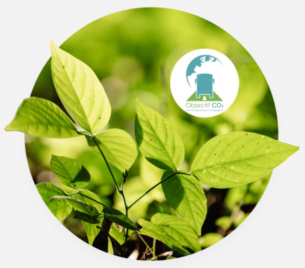 Transports Idoux s'engage dans le RSE